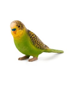 Animal Planet 387262  Budgerigar Green 