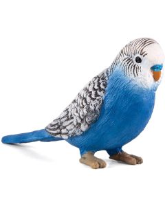 Animal Planet 387292  Budgerigar Blue 